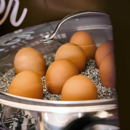 Duesseldorf-airport Hotel Düsseldorf